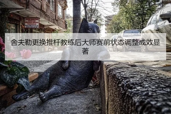 she-fu-lei-geng-huan-tui-gan-jiao-lian-hou-da-shi-sai-qian-zhuang-tai-tiao-zheng-cheng-xiao-xian-zhu-2-113.jpg